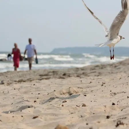 호텔 Glueckauf 1908 3*