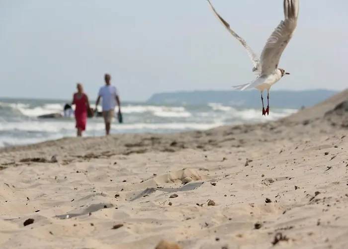 Hotel Glueckauf 1908 3*